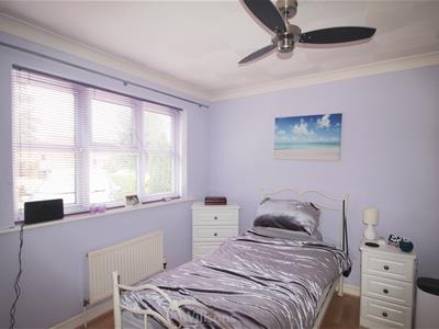Picture 11